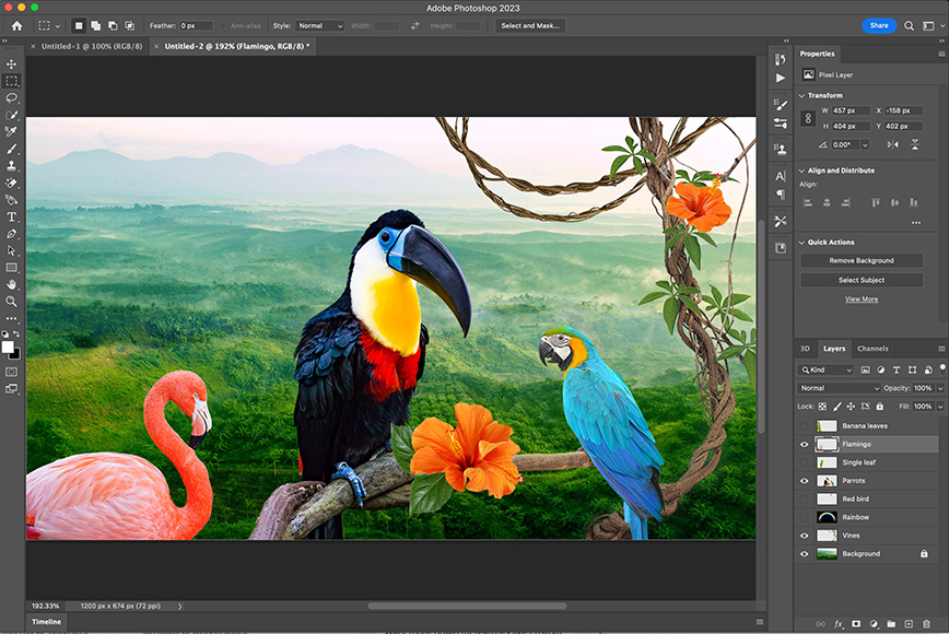 Adobe Photoshop is actually the leading software application for image compositing and editing
